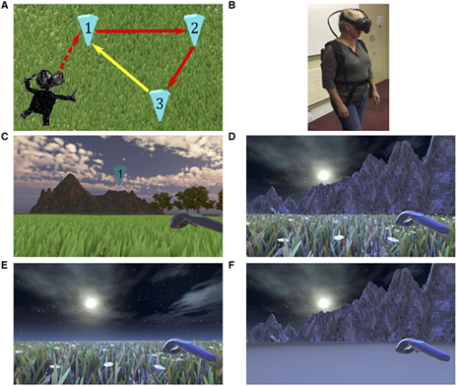 Six slides showing different aspects of a virtual reality program testing for early signs of Alzheimer's disease.