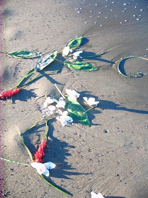 image of flowers and cremation ashes legally scattered at sea and washed up on the beach 