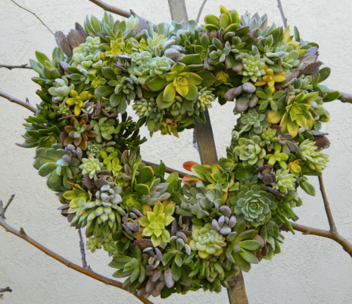 Heart made of succulents gifts for someone who is grieving