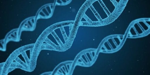 Three light blue DNA strands on a dark blue background, as analyzed in epigenetic tests looking at biological age