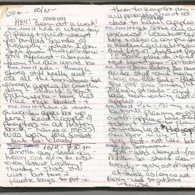 A page from Linda's journal