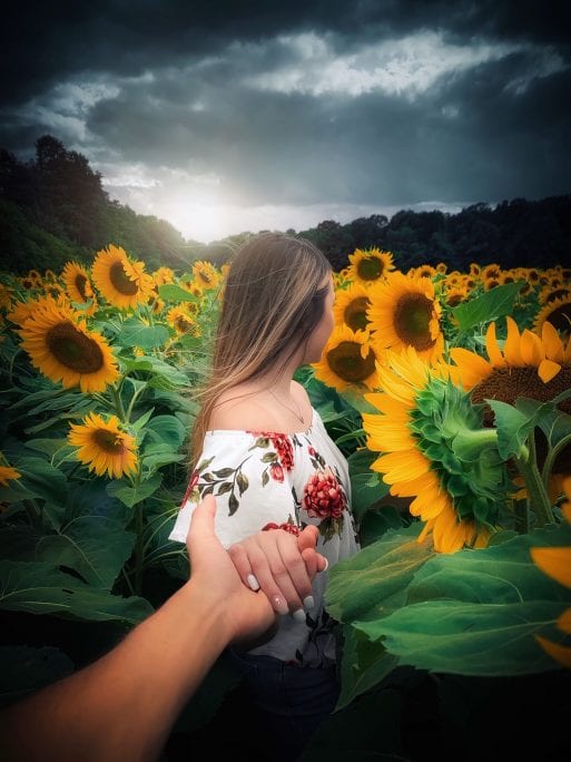 A woman holds another's hand while looking away into the sunflowers, suggesting the difficulty of receiving condolences.