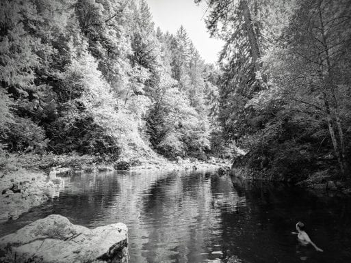 Photo of person swimming in forest