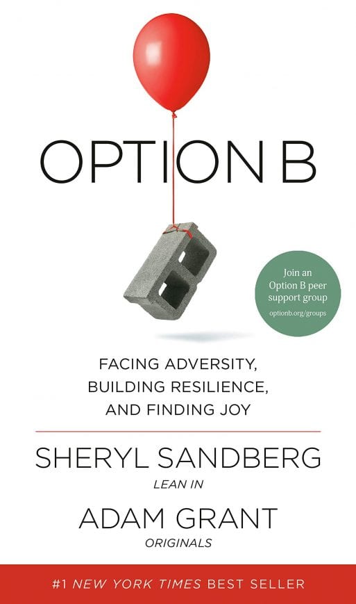 The book cover for "Option B."