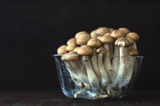 image of psychedelic mushrooms which Canada has approved for end of life care
