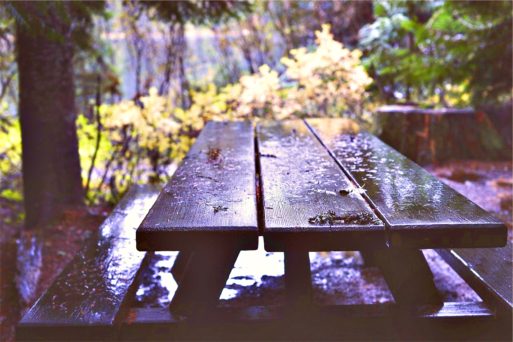 Picnic table in the rain denotes grief and passage of time