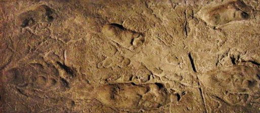 Laetoli footsprints made by ancient humans who evolved the terror of death described in "The Worm at the Core"