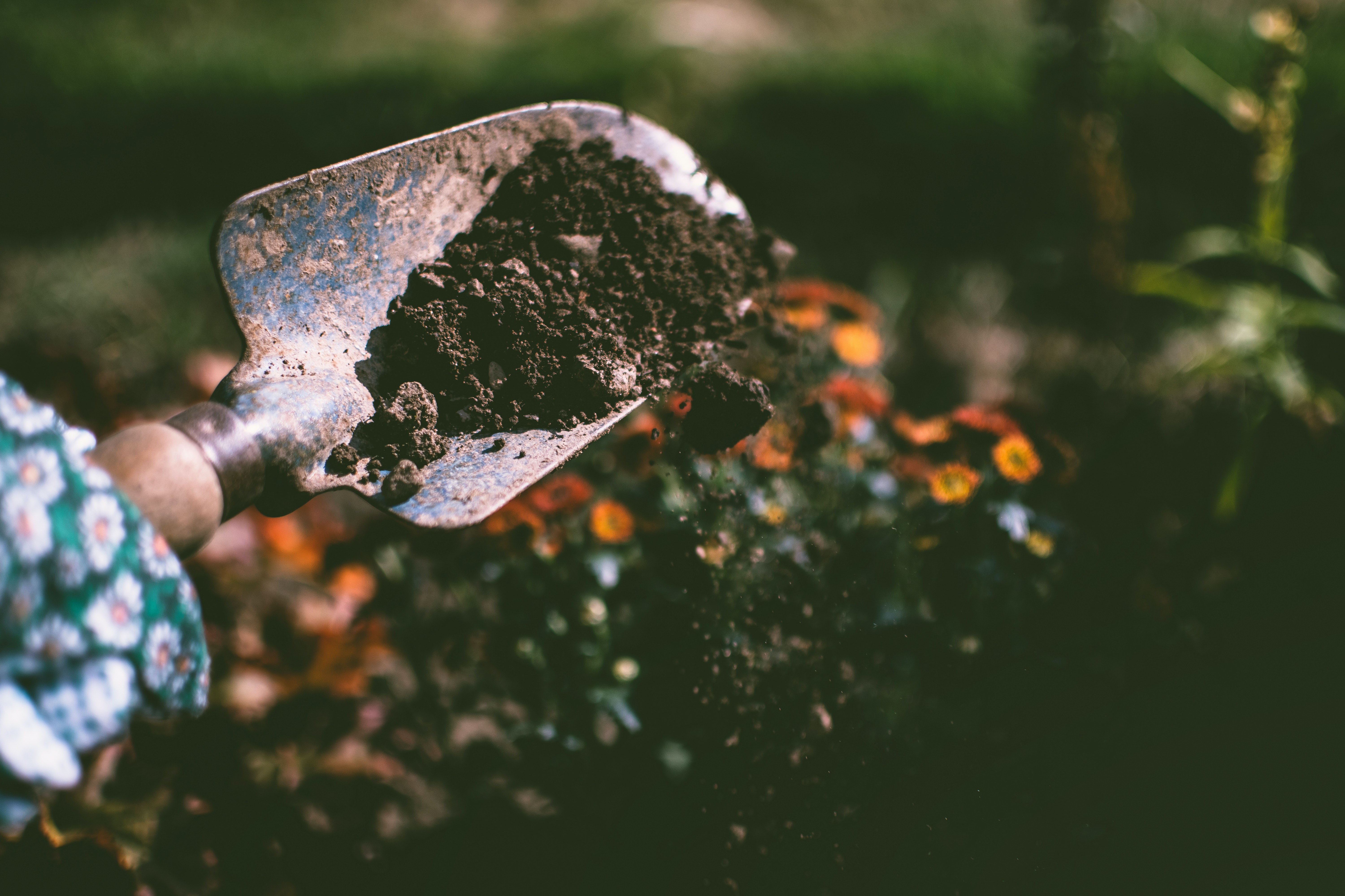 A trowel filled with soil made from human compositing against the backdrop of a garden.