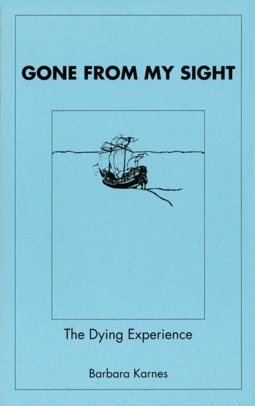 Gone from my sight book cover