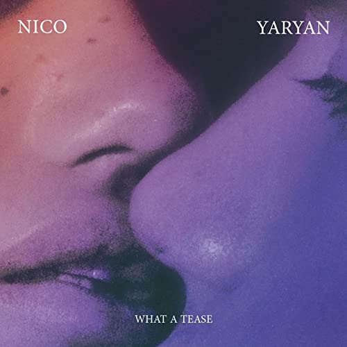 cover art ill stay with you when you die by nico yaran