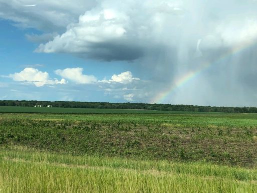 rainbow over our farm