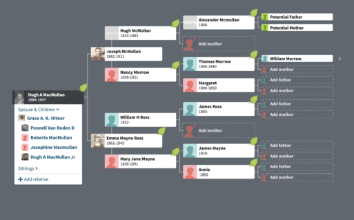 a family tree from ancestry.com