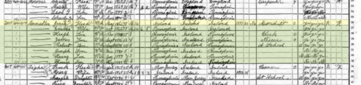 A photo of old census records helps trace your ancestry