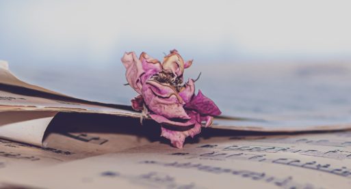 song lyrics and a dried pink rose