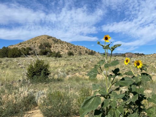 Colorado Burial Preserve where composted human remains reside