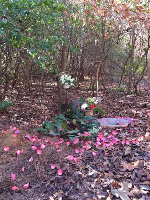 conservation burial grave