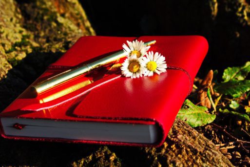 red leather journal with daisies for a trail basket