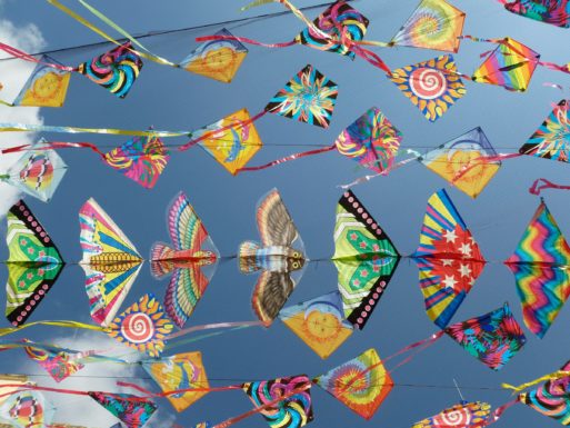 kites in the sky 
