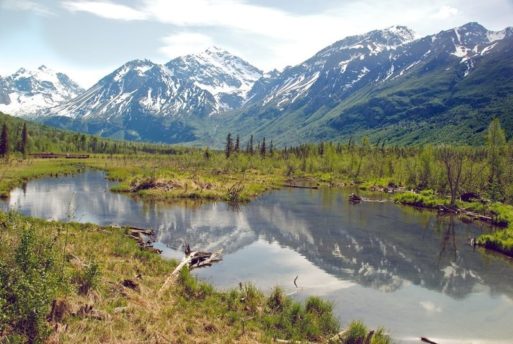 Chugach State Park for ash scattering