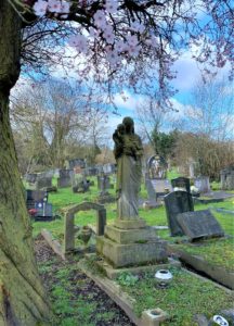 Headstones in a cemetery