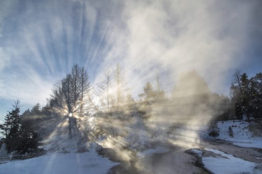 yellowstone national park to ash scattering