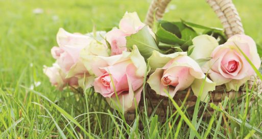 pink roses make great keepsake gifts after a choral reading at a memorial service