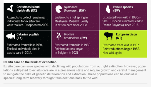 A charg identifying the situation of species extinction maintained ex situ.