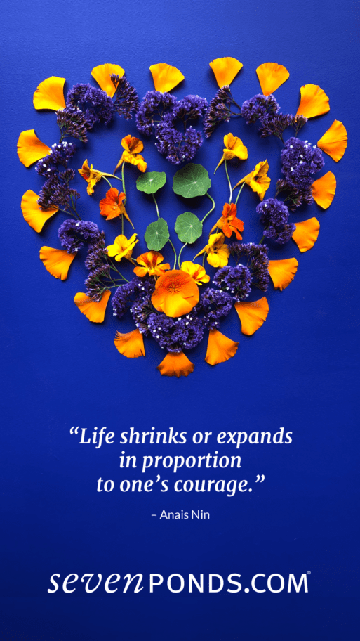 heart made of yellow and blue flowers with Anais Nin inspiring quote