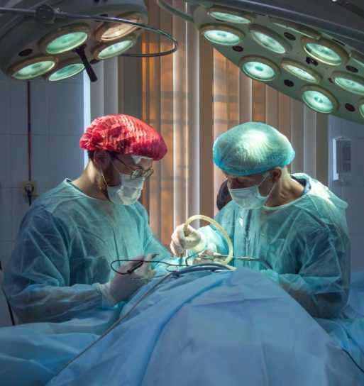 doctors perform organ transplant surgery