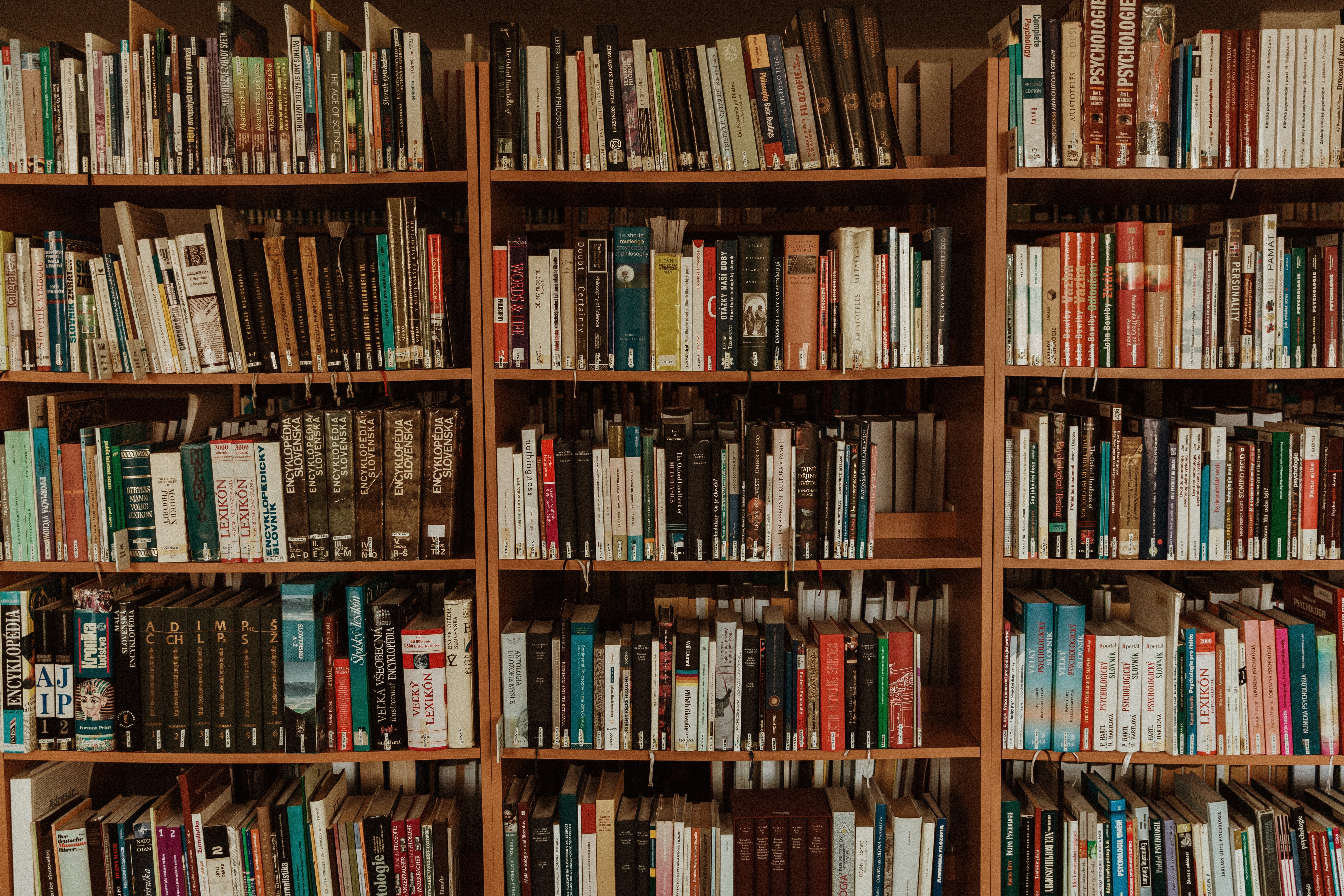 A wall-to-wall bookshelf is crammed with old books, like a library shelf.