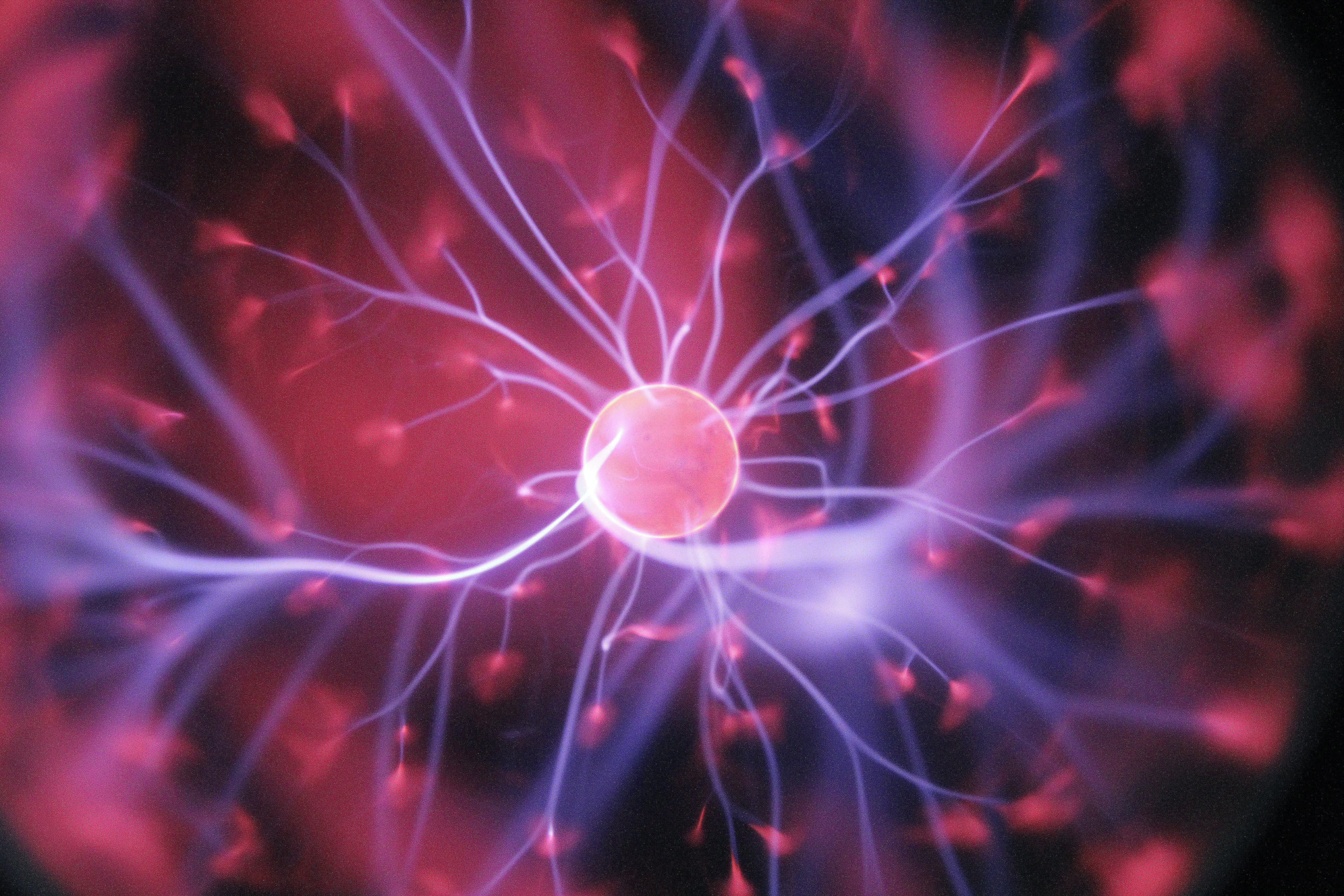 a neuron, one of the basic brain cells that may survive cardiac arrest
