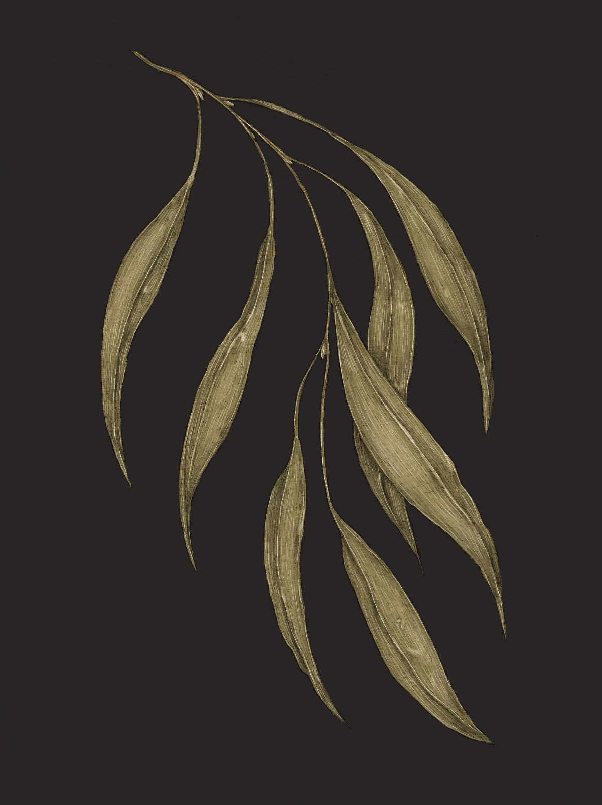 willow leaves flowers for loss