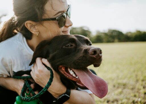 chocolate lab with owner