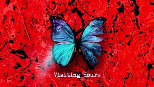 blue butterfly on red background cover of cong about losing a friend