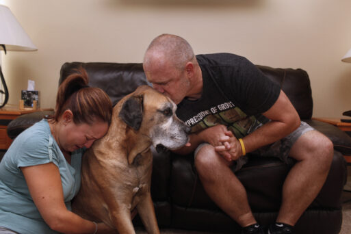 An older dog is sitting while his owner cries into his shoulder, and the dad kisses his grey face