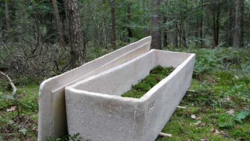 A gray rectangular coffin rests in a green forest, with soft moss lining the interior