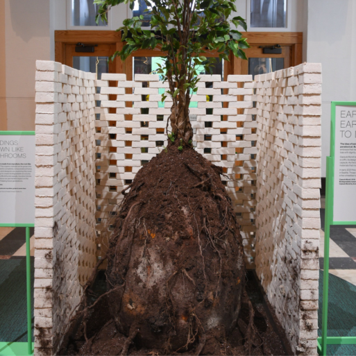 Photograph of an exhibit depicting Capsula Mundi, a method of whole-body burial in a pod to nourish a growing tree