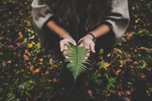 A pair of female hands hold a fern leaf above a forest floor to mourn loss to climate change.