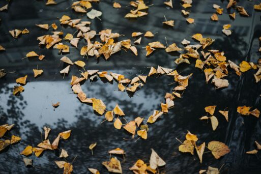 Images of leaves in a heart shape to represent Twelve Quotes to Remember a Loved One Who’s Died