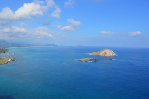 small reef where leah's ashes were scatteres