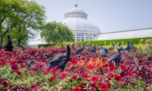 Ebony G. Patterson's vultures installed amid bright red flowers at the New York Botanical Garden.