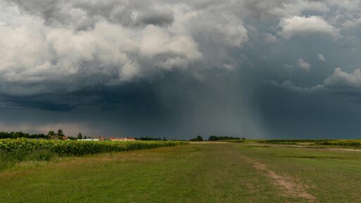 Rain falling on flat open farmland.