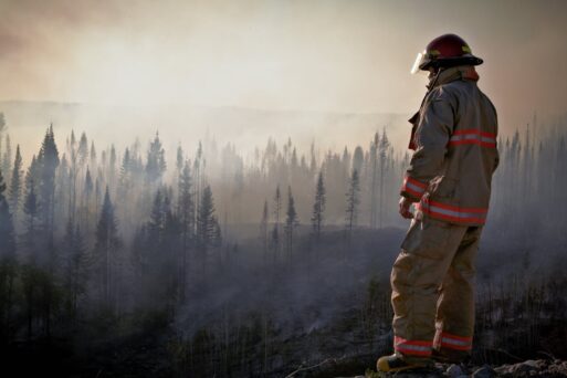 A firefighter looks out over a forest devastated by wildfires.