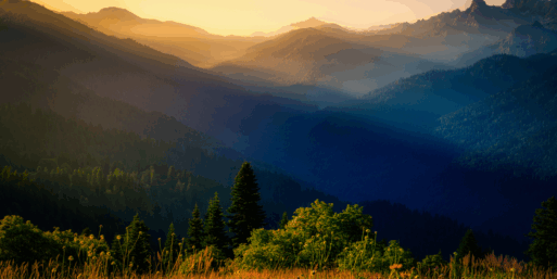 The sun is rising through misty mountain peaks, illuminating the green trees and golden foliage in the foreground. Effie Waller Smith was famous for her poems about the mountains where she grew up.
