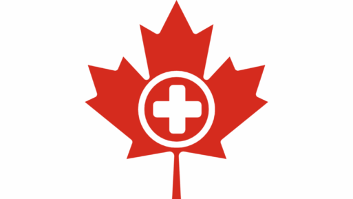 A red maple leaf on a white background has a symbol in the middle of it, a plus sign in the middle of a white circle. The logo for Canadian healthcare