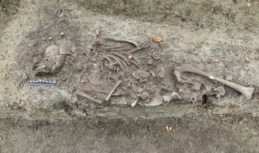 Archaeological dig site showing skeletal remains