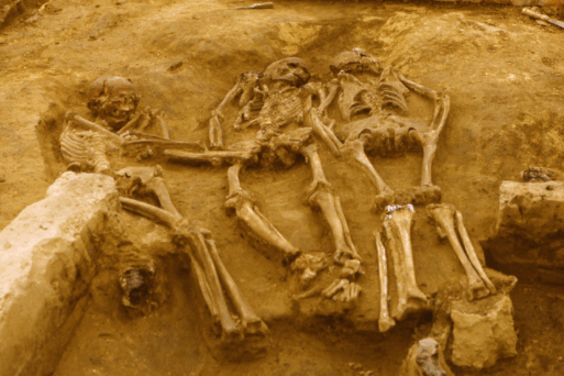Photograph of an archaeological site in which the skeletons of three boys are buried abnormally. 