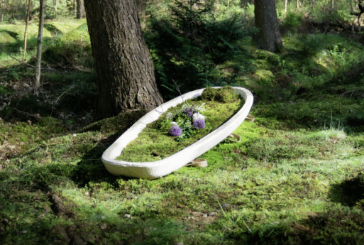 Mushroom coffin in a forest as many examples of eco coffins and caskets