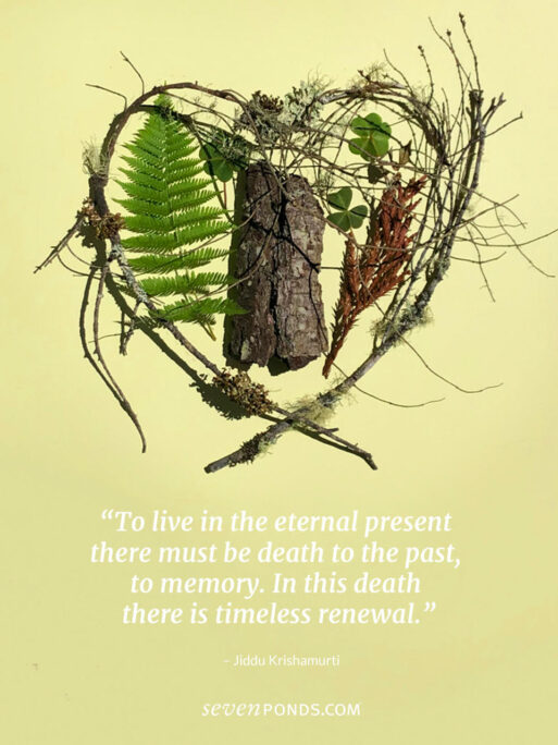 a rustic heart made of leaves, twigs, and bark