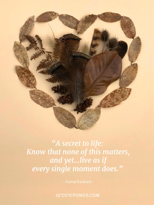 leaves and feathers arranged in a heart shape